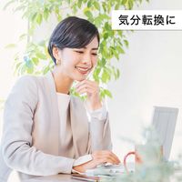 伊藤園 TULLY'S &TEA 金木犀香るアールグレイ 1セット(10バッグ×３袋入)