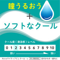NewマイティアCLクール-s 15mL 第一三共ヘルスケア 目のかわき 目の疲れ 目のかすみ【第3類医薬品】