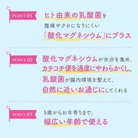 ビオフェルミン酸化マグネシウム便秘薬 360錠 大正製薬 便秘に伴う頭重・のぼせ・肌あれ・吹き出物の緩和【第3類医薬品】