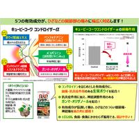 キューピーコンドロイザーα 30錠 興和 関節痛 神経痛 腰痛 肩こり 五十肩などの緩和【第2類医薬品】