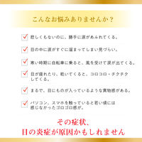 マイティアアイテクトEX 15mL 第一三共ヘルスケア なみだ目 異物感 目のかゆみ 結膜充血【第2類医薬品】
