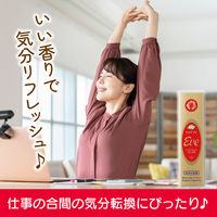 ガム 個包装  イブ　9枚 1セット（1個×6）