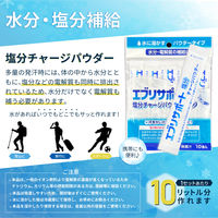 熱中症対策キット シェア 39点 シルバー 1セット 熱中症対策用品 複数人向け 塩分補給パウダー 熱中症対策グッズ ATD001（直送品）