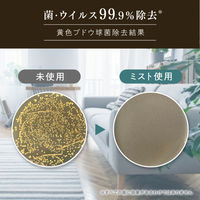 ファーファ ファインフレグランス ファブリックミスト パラディ モダンフラワー 詰め替え 540mL 1セット（1個×2） 除菌 消臭