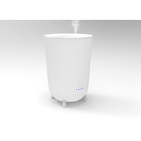 TOPLAND（トップランド） パーソナル ラクラク給水加湿器100 ホワイト SH-RK100 WT 1台