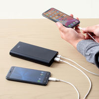 サンワサプライ USB Power Delivery対応モバイルバッテリー BTL-RDC22 1個（直送品）