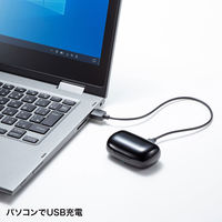 サンワサプライ 完全ワイヤレスヘッドセット MM-BTTWS003BK 1個（直送品）