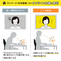 サンワサプライ タブレット用アルミスタンド(角度・高さ調整タイプ) PDA-STN49S 1台（直送品）