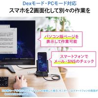 サンワサプライ タブレットスタンド付きUSBドッキングハブ USB-3TCH29BK 1個（直送品）