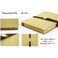 ライオン事務器 ドキュメントファイル A4 DC-211 15601 1冊