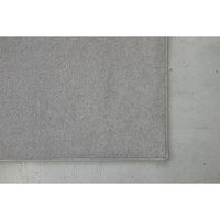 スミノエ コンシェルジュ エコロア100 防炎 ラグ ECR103 3500×4500mm グレー 1枚（直送品）