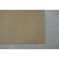 スミノエ コンシェルジュ エコロア100 防炎 ラグ ECR104 3500×4000mm ライトベージュ 1枚（直送品）