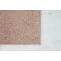 スミノエ コンシェルジュ エコロア100 防炎 ラグ ECR105 3500×5000mm ブラウン 1枚（直送品）