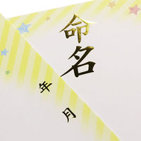 サンスター文具 命名紙A3 &mom/Disney(ディズニー) ベビープー S2074109 1セット(5セット)（直送品）