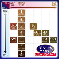 ダリヤ サロンドプロ　ザ・クリームヘアカラー（白髪用）　４ＧＲ　グレイスブラウン 4904651183104 1個×3点（直送品）