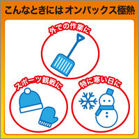 エステー オンパックス　極熱 326208 10枚×24点（直送品）