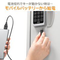 サンワサプライ 宅配ボックス(置き配・大容量・50リットル・カード式解錠) 300-DLBOX013 1台（直送品）