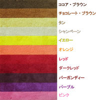 クリーンテックス・ジャパン 玄関マット 万能タイプ スタンダードマットS 40×60cm AM00167 1枚