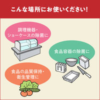 スキッシュV 専用つめかえスプレー容器 業務用 1個 花王