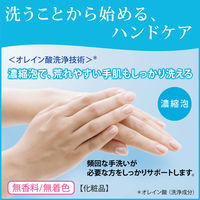 EX-CAREコンパクト泡ハンドウォッシュ 専用オートディスペンサー用カートリッジ 1個 花王