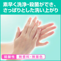 ソフティ薬用泡ハンドウォッシュ コンパクト 500ml 1箱（6個入） 花王