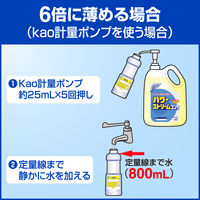 パワーストリームコンク 5L 1箱（2個入） 花王