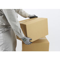 【天然ゴム背抜き手袋】 ショーワグローブ DURACoil（デュラコイル） 耐切創 NO346-M グレー 1双