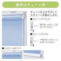 【1cm単位】高機能「遮光」「遮熱」ロールスクリーン幅75cmx高さ120cm jia4162-jia_w75h120 1セット トーソー（直送品）