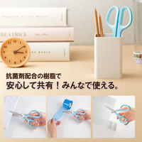 プラス はさみ フィットカットカーブスタンダード抗菌グリップブルー 35736 1セット(3本入)