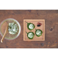 HARIO HARIO（ハリオ）　お茶ミル・チャコ　OMC-1-SG OMC-1-SG 1個（直送品）