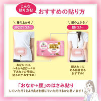 桐灰カイロ じんわり温かい おなか用カイロ 貼るタイプ 1ケース（240個：10個入り×24パック） 桐灰 小林製薬