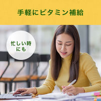 【栄養機能食品】伊藤園 ビタミン野菜 740g エコPET 1箱（15本入）【野菜ジュース】