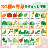 【機能性表示食品】伊藤園 栄養強化型 1日分の野菜 740g エコボトル 1セット（30本）【野菜ジュース】