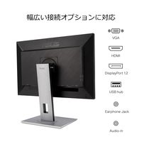 ASUS 24.1インチ ワイド液晶モニタ- PA248QV 1台