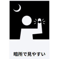 【BABY-G】CASIO BG-169G-7JF 1本（直送品）