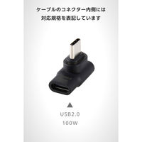 USB-C マグネット 変換アダプタ L字型 100W PD対応 着脱式コネクタ 黒 MPA-CECMAADLBK エレコム 1個（直送品）