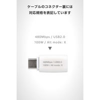 USB-C マグネット 変換アダプタ 100W PD対応 着脱式コネクタ ホワイト MPA-CECMAADWH エレコム 1個（直送品）