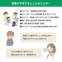 備蓄用栄養補給ライフスープ 5年保存 14食セット(7食×2袋) 非常食 アレルギー対応 長期保存 保存食 防災食 ベジタルアドバンス（直送品）