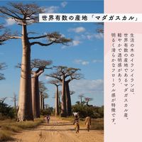 生活の木 イランイラン ミストコロン 30ml 1セット（1本×2）