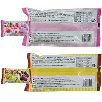 カネダ [アイス] バラエティアイスセット (10個入) 7170638 1個(1セット)（直送品）