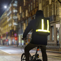 サンワサプライ FARVIS 17Lリュック 2-300 1個