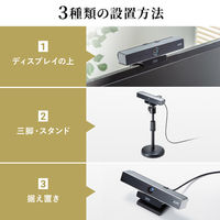 サンワサプライ 会議用ワイドレンズカメラ CMS-V52S 1個