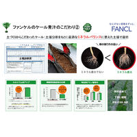 ファンケル [冷凍] 搾りたてケール青汁 7袋 (100g×7袋)×6箱 4908049260477 1セット(700g×6箱)（直送品）