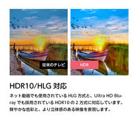 ドウシシャ SMART TV シリーズ FHD 40V型液晶テレビ OLS40WD10 1台