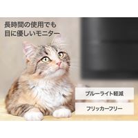 AIWA display B24ー3 23.8インチFHDモニター JA5-DSP2403 1台