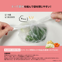 プラスプラス 手提げキッチンポリ袋 取っ手付 半透明 Ｍ マチ付 1セット（1パック（100枚入）×5）オルディ