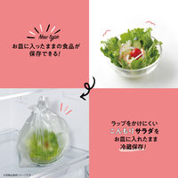 プラスプラス 手提げキッチンポリ袋 取っ手付 半透明 Ｍ マチ付 1パック（100枚入）オルディ