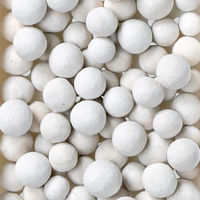 ステンボトルドライヤー L 多孔質セラミック ホワイト karari HO2211 1個 水筒 速乾 吸湿 アネスティ