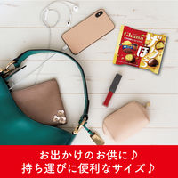 クランチチョコレート ガーナ　ザクほろ発酵バターシュー＆クッキー　ポップジョイ　26g 1セット（1個×12）