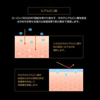 PRAMY(プラミー) メイクアップセッティングミスト（マットタイプ） 100ml